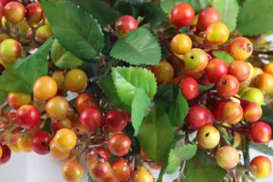 Close-up detail of artificial Australian berries, vibrant multicolor faux fruit.