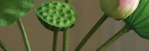 Artificial lotus flower and seed pod prop for home decor, wedding landscaping, and photography.
