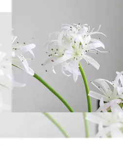 Primo piano dettaglio di bouquet di fiori di giglio ragno artificiale bianco con stelo.
