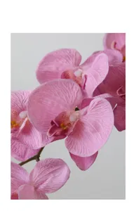 Detailed close-up of artificial pink phalaenopsis orchid flower, showing realistic petal texture.
