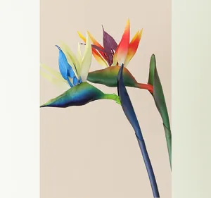 Artificial bird of paradise flower detail shot, vibrant multi-color latex touch floral decor.