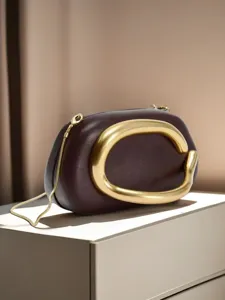 Close-up of structured box shoulder bag with chunky gold metal loop and slim chain strap.