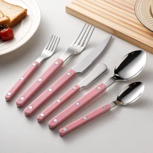 Stainless steel flatware set with pink handles, including dinner knives, forks and spoons.