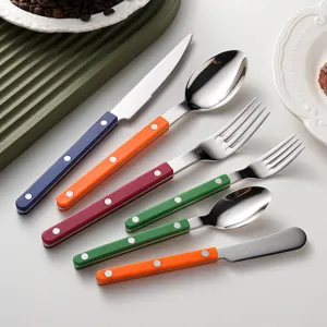 Stainless steel cutlery set with colorful ABS handles and rivets, modern kitchen dining tools.