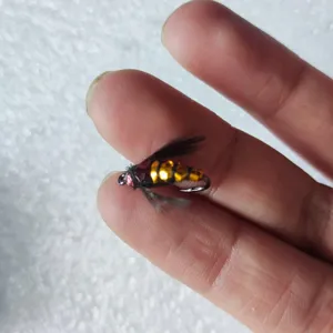 Señuelo artificial de pesca con mosca detallado con cuerpo dorado y alas para la trucha.