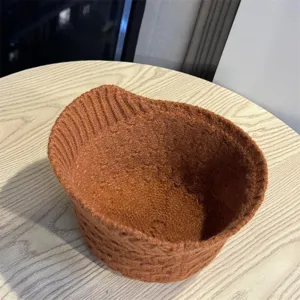 Outdoor autumn winter knitted wool hat for women, warm face-slimming stacked ear protection trendy hat
