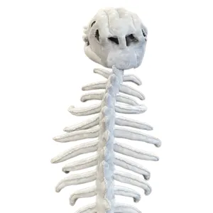 Dinosaur skeleton plush toy novelty cute stuffed animal bone doll birthday gift for kids