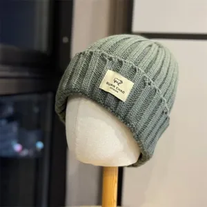 Korean style knit beanie hat with sheep patch, warm double layer wool cap for autumn and winter.