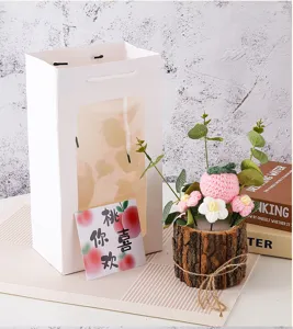 Gedetailleerd overzicht van handgemaakte gehaakte bloempot cadeauset met papieren zak en kaartje.