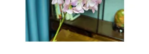 Artificial pink hydrangea flower stem for home decor, wedding scene layout fake floral.