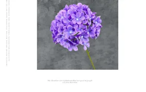 Artificial purple hydrangea flower for home decoration wedding scene layout elegant floral display.