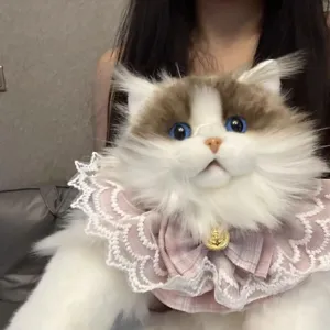 Λεπτομέρεια λούτρινης γάτας ragdoll, πολύ απαλή και αφράτη γούνα με ωραία μπλε μάτια.