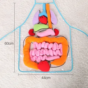 Delantal anatomia cuerpo humano ninos juguete educacion precoce organos internos modelo