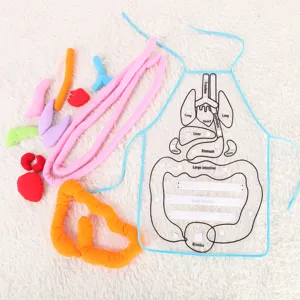 Juguete de delantal de anatomía de órganos del cuerpo humano educación temprana modelo cognitivo.