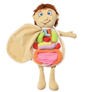 Kids human anatomy apron educational toy, plush body organ learning model for children early education.