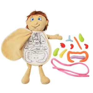 Kids human body anatomy apron educational plush toy soft organ learning model for early childhood