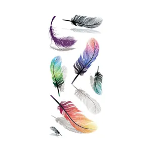 Feuille de tatouage temporaire de plume colorée avec des motifs artistiques vibrants.