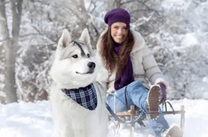 Klassiek geruite huisdier honden bandana wintersjaal zachte stof stijlvolle halsband