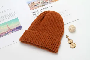 Winter brown knitted beanie hat, warm thick ribbed cuff cap for women and men daily casual wear.