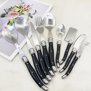 Stainless steel cutlery set with black ABS handles, elegant steak knife and fork tableware.