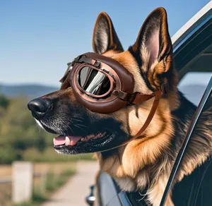 Primo piano di dettagli di occhiali vintage per cani con montatura in pelle marrone.