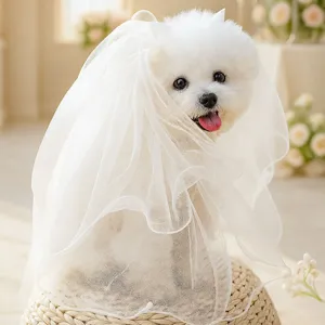 Voile de mariée mignon pour chien animal blanc chat couvre-chef accessoires photo