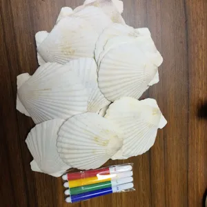 Natuurlijke witte sint-jakobsschelpen DIY ambachtelijke schilderij kunstmaterialen set met 4 pennen