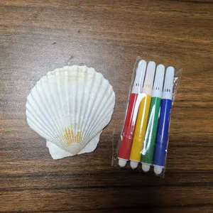 Natuurlijke witte sint-jakobsschelp en 4-kleuren marker set voor DIY knutselen en schelpen schilderen.