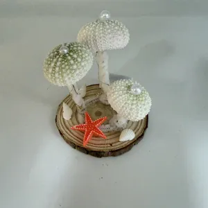 Luz de noche artesanal de concha de erizo de mar con base de madera y decoración de estrella.
