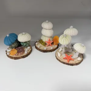 Luz de noche artesanal con concha de erizo, decoración de escritorio con base de madera natural.