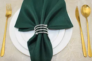 Detailed close-up of a stylish silver spiral napkin ring holding a green napkin on table.