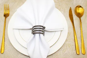 Close-up detail of a modern metal spring napkin ring holding a white cloth napkin on a plate.