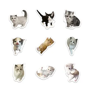 Cute realistic kitten stickers for journal notebook phone case waterproof decorative set