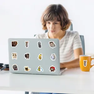 Detailansicht mit lustigen Katzen-Meme-Aufklebern auf einem Laptop und einer Tasse.