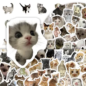 Cute realistic kitten stickers for journaling, scrapbooking, phone case and laptop decor.