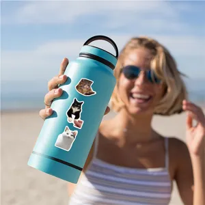 Waterproof funny meme cat stickers for water bottle, laptop and phone case decoration.
