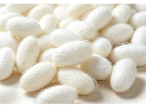 Natural white silkworm cocoons raw material organic silk crafting material soft texture