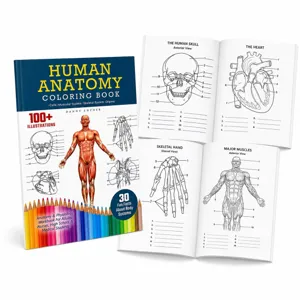 Human anatomy coloring book for medical students and adults featuring 100+ illustrations.