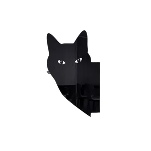 Dettaglio specchio in acrilico gatto nero con superficie riflettente lucida e silhouette.