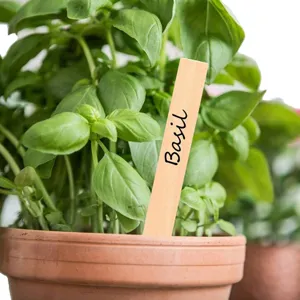 Wooden plant label marker for garden pot, natural wood sign with basil print for herbs.