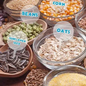 Granos y semillas orgánicas surtidas en cuencos, fotografía de alimentos y exhibición agrícola.