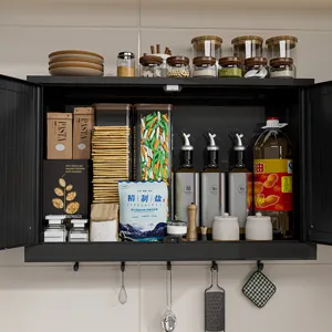 Wall-mounted kitchen storage cabinet for seasoning and condiments, space-saving design.