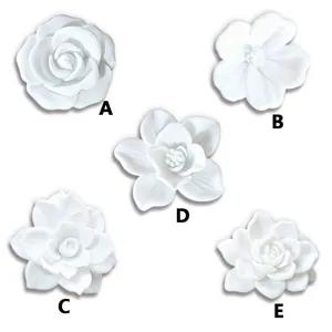 Detailed view of white 3D floral fridge magnets, showing distinct flower shape options.