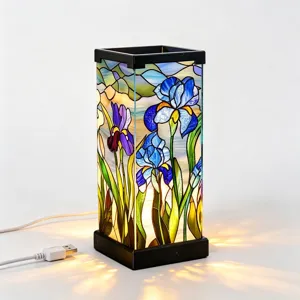 Dettaglio luce notturna in vetro colorato, motivo floreale di iris, calda lampada da tavolo USB.