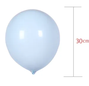 Detailed shot of the light blue macaron latex balloon, showing clear size and smooth texture.