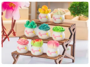 Miniature succulent potted plant ornament desktop decoration micro landscape cute resin decor