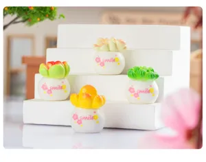 Mini succulent potted plant micro landscape ornament DIY gardening decoration desk decor