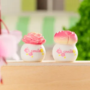Cute succulent miniature potted plant resin ornament for desktop car decor DIY landscape.