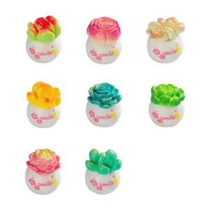 Miniature succulent potted plants set, DIY micro landscape resin ornaments for car desktop decor.