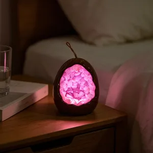 Luce notturna a uovo di dinosauro in quarzo rosa naturale, lampada geode di cristallo.